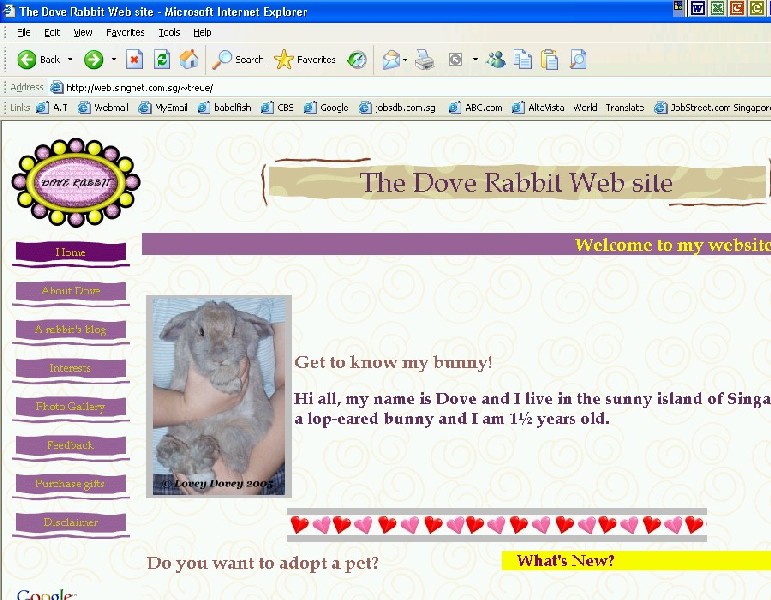 A rabbit's blog