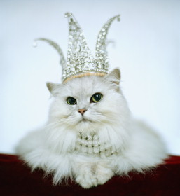 I Love Diamonds
